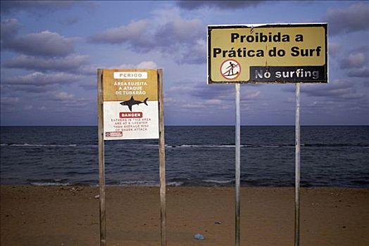 危险,浴者,区域,鲨鱼,攻击,冲浪,累西腓,巴西