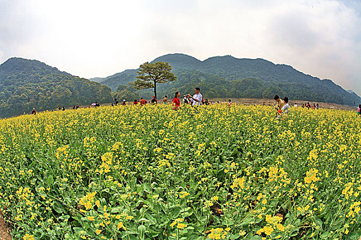 广州石门森林公园