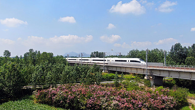 山东省青岛市,航拍蓝天白云下的高铁,成为夏日美丽乡村的一道风景