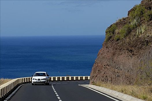 沿岸,道路,圣安德烈斯岛,特内里费岛,加纳利群岛,西班牙