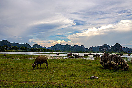 毛塘湿地