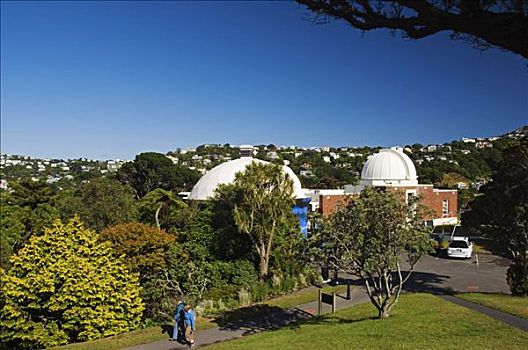 新西兰,北岛,惠灵顿,观测,天文馆,维多利亚山,植物园,只有一个,亲切