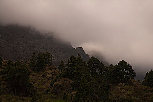 雾,峡谷,国家公园,帕尔玛,加纳利群岛,西班牙,欧洲