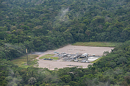 油,安装,密集,雨林,国家公园,亚马逊河,厄瓜多尔