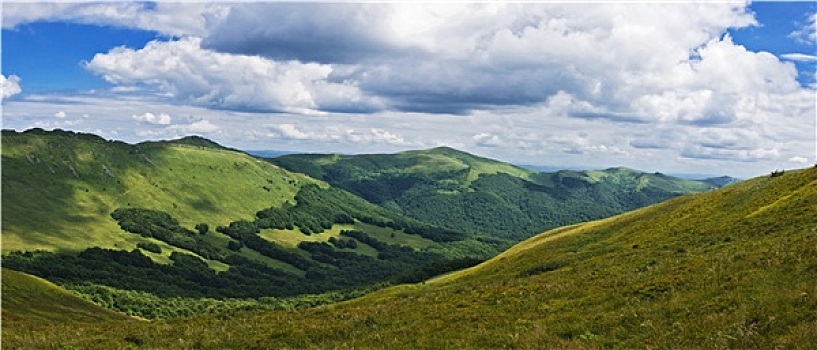喀尔巴阡山脉,波兰,绿色,山