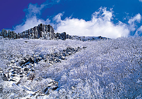 仰视,岩石构造,积雪,风景