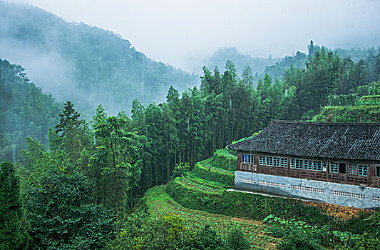 雨雾山景