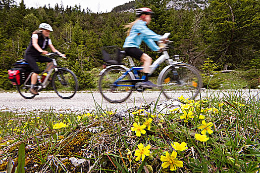 自行车,旅游,起点,山峦,阿尔卑斯山,奥地利,欧洲