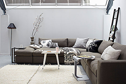 放松,温室,灰色,角,沙发,白色,地毯