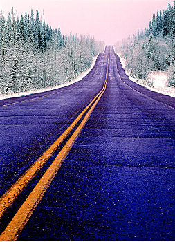 道路,冬天,冰原大道,艾伯塔省,加拿大