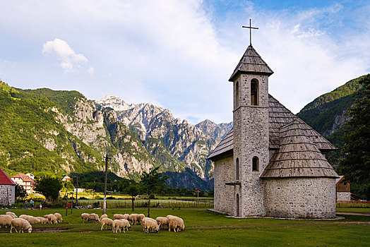羊群,天主教,教堂,国家公园,阿尔巴尼亚,阿尔卑斯山,欧洲