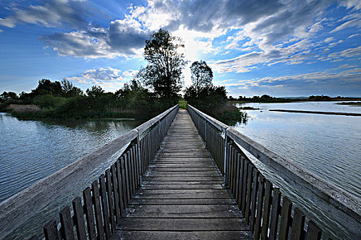 木桥,上方,湖,早晨,看,弗兰克尼亚,巴伐利亚,德国