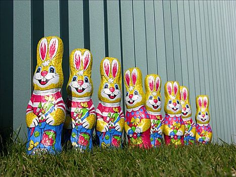 复活节兔子,巧克力,站立,顺序排列,栅栏,金属,多汁,绿色,草地,柏林,德国,欧洲