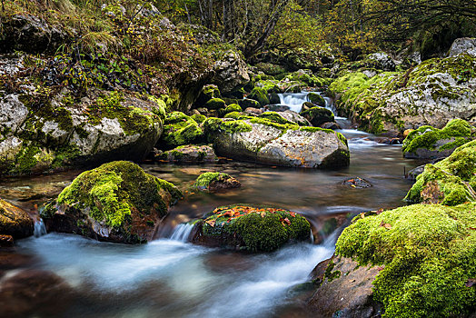 溪流,苔藓,石头,水道,索卡谷,特拉维夫,国家公园,斯洛文尼亚,欧洲