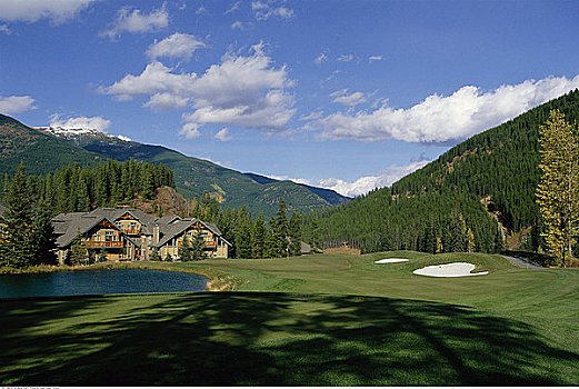 高尔夫球场,全景,不列颠哥伦比亚省