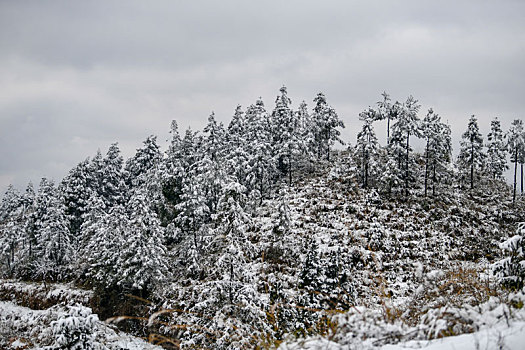 重庆酉阳,又见瑞雪兆丰年