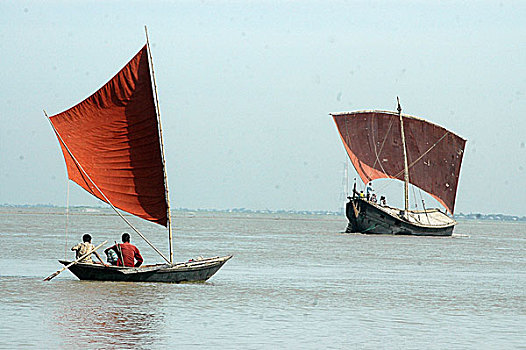 捕鱼,河,船,孟加拉,五月,2005年