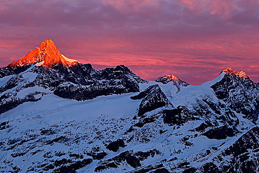 雪,红色,黎明,发光,戈尔内格拉特,策马特峰,瓦莱州,瑞士,欧洲