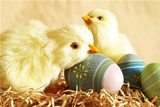 复活节,幼禽,蛋