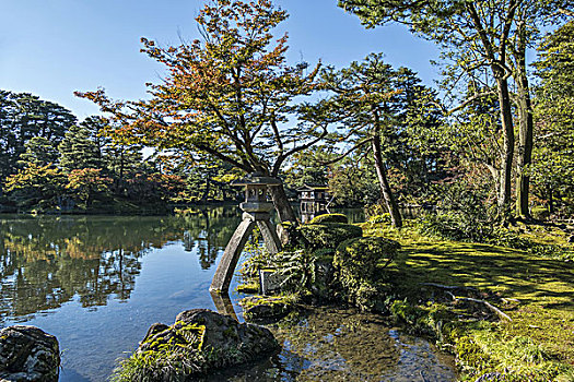 花园,秋天,石川,日本