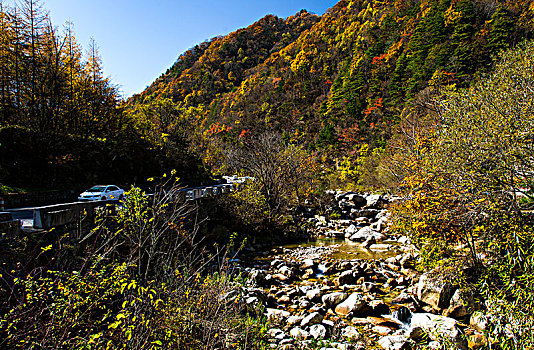 秦岭山