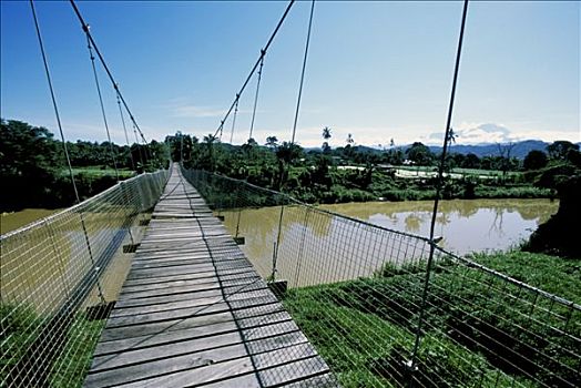 东方,婆罗洲,沙巴,国家公园,京那巴鲁山,吊桥,上方,河