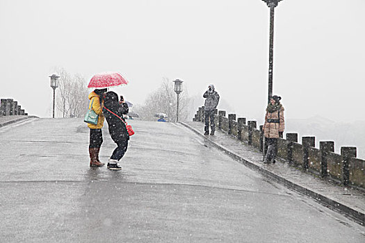 杭州,西湖,断桥,游客,赏雪,水墨画,朦胧,仙境,冬天,打伞,伞