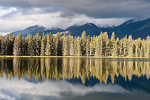 高山,湖,靠近,艾伯塔省,加拿大