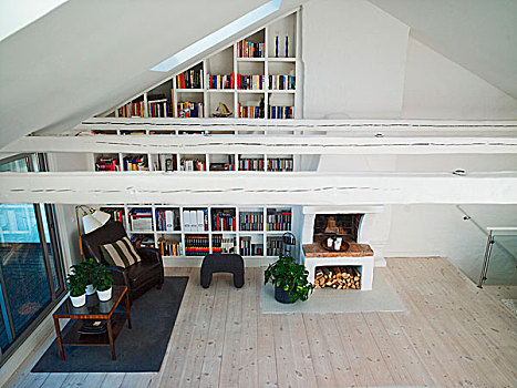 景色,客厅,书架,天花板