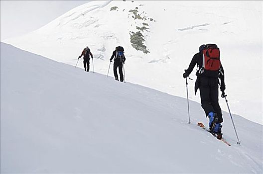 越野,滑雪者,少女峰,阿尔卑斯山,瑞士