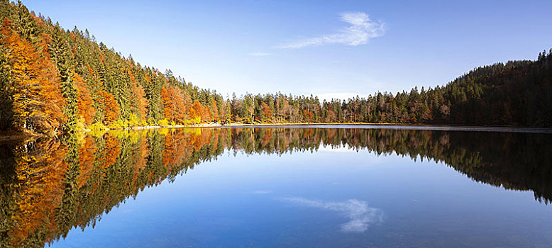 秋天,湖,反射,靠近,山,黑森林,德国,欧洲
