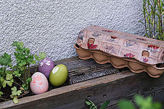 花园,装饰,复活节彩蛋,鸡蛋格