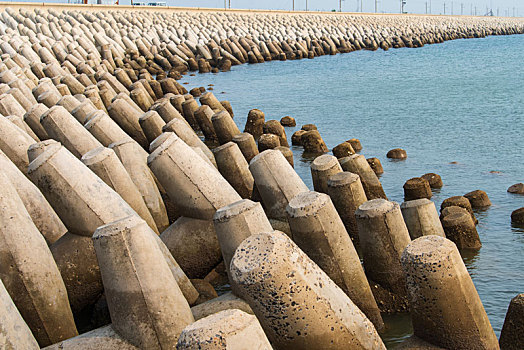 黄河口湿地风光