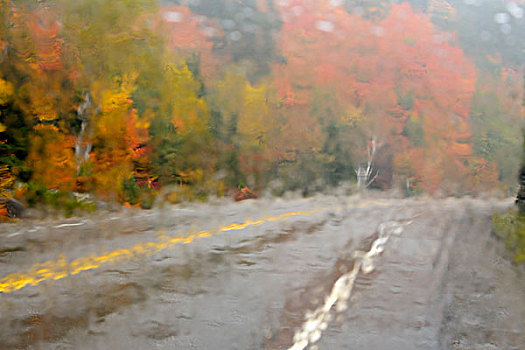 公路,风景,窗户,阿尔冈金省立公园,安大略省,加拿大