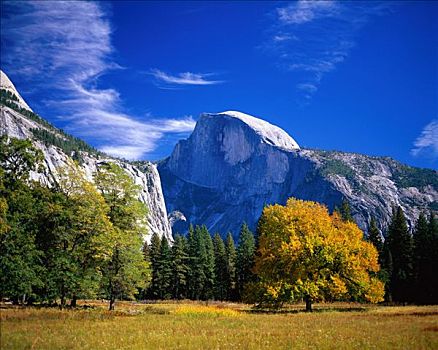 优胜美地国家公园,半圆顶,秋叶,加利福尼亚,美国