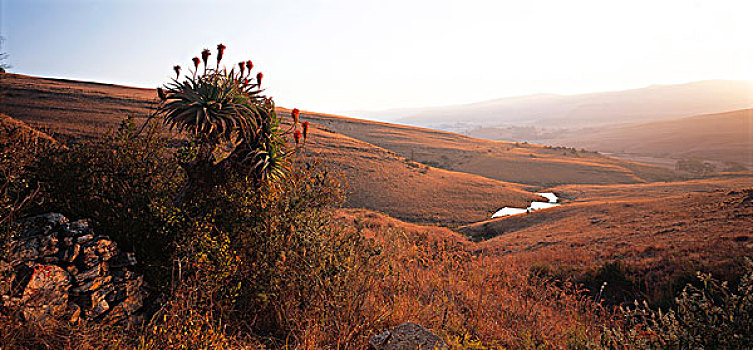 景色,德尔斯卓姆,南非