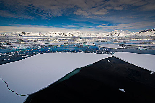 南,南极,圆,靠近,阿德莱德,岛屿,浮冰