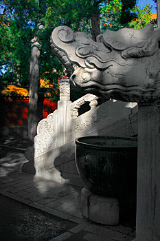 北京故宫钦安殿螭首