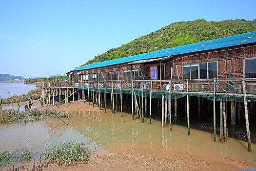 宁海,梅岙渔村,农家乐,美食,天空