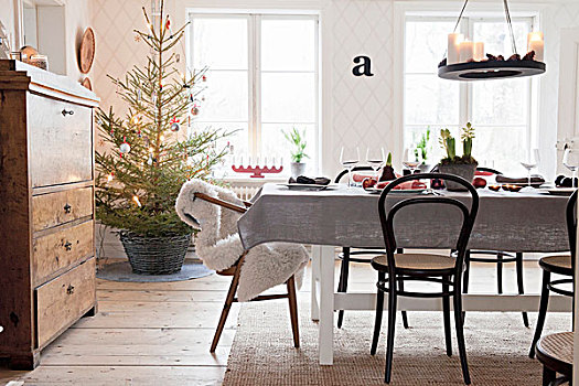 桌面布置,小酒馆,椅子,圣诞树