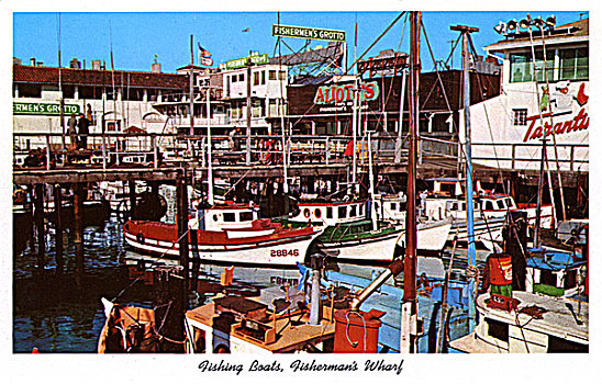 渔船,渔人码头,旧金山,加利福尼亚,美国