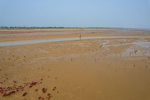 航拍东营红滩湿地滨海公园