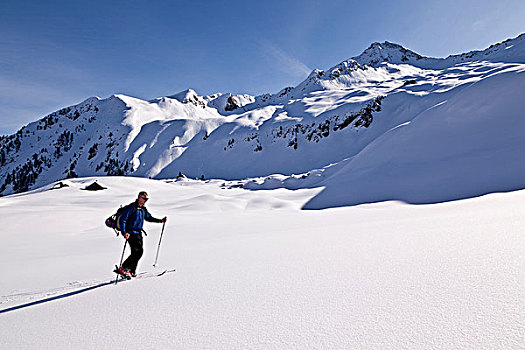 越野滑雪者,冬天,风景,阿尔卑斯山,提洛尔,奥地利,欧洲