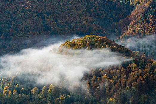 秋天,多瑙河,自然公园,巴登符腾堡,德国,欧洲