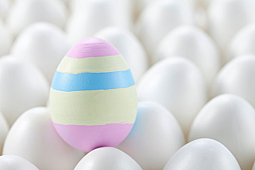 一个,彩色,复活节彩蛋,白色,蛋