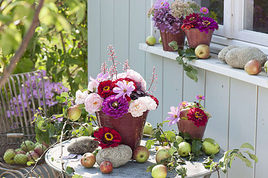 庭院桌,苹果,小,百日草,花束