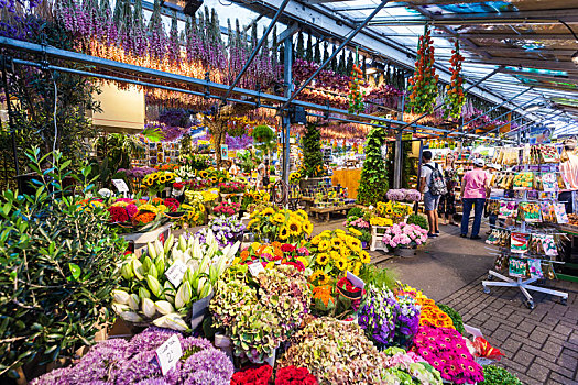 荷兰,阿姆斯特丹,市中心,花市,市场,花,销售,花商