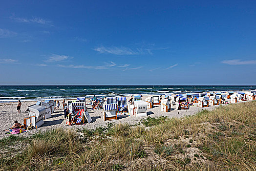 波罗的海,海滩,滨草,沙滩椅,地区,罗斯托克