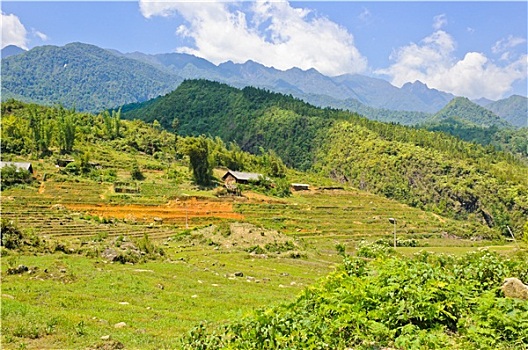 山,风景,高地,越南