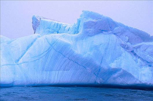 冰山,纽芬兰,海岸,加拿大
